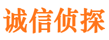 尼勒克侦探调查公司